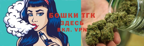 сатива Карпинск