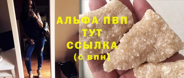 сатива Карпинск